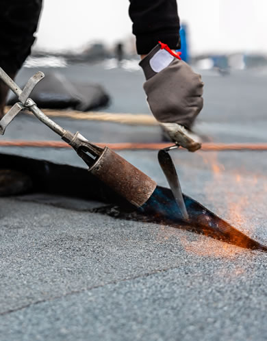 Flat Roof