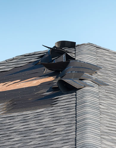 Wind Damage